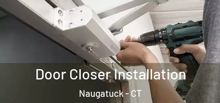 Door Closer Installation Naugatuck - CT