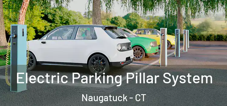 Electric Parking Pillar System Naugatuck - CT